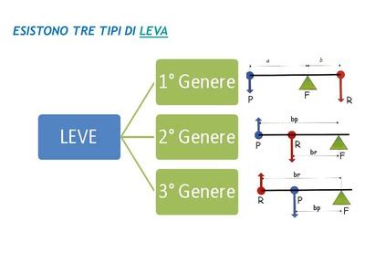 studi sui tipi di leve.